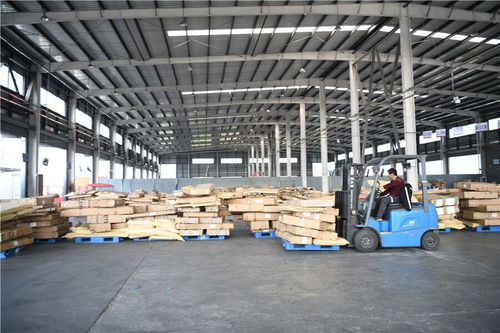 昔日破爛村，今朝變美致富曲——室內(nèi)裝飾材料銷售引領(lǐng)鄉(xiāng)村振興